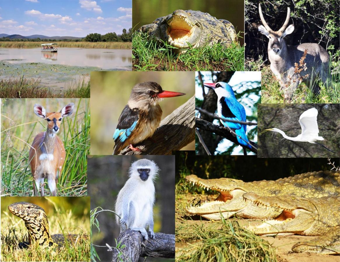Crocodile Pools River Safaris Γκαμπορόνε Εξωτερικό φωτογραφία