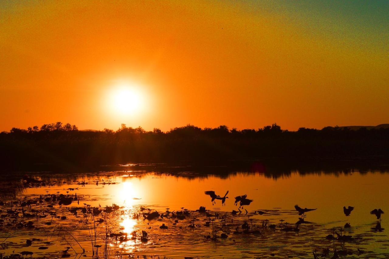 Crocodile Pools River Safaris Γκαμπορόνε Εξωτερικό φωτογραφία